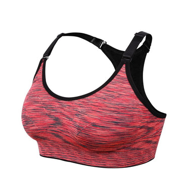 Quick Dry Padded Sports Bra