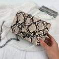 luxury Crossbody Snake Print Bag