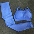 2PCS Sexy Sports Suits Seamless Yoga Set