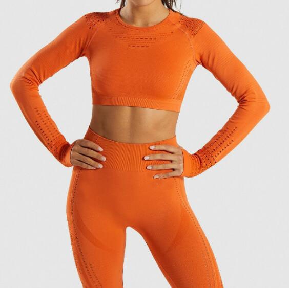 Yoga Sets High Waist Gym Mesh Suit