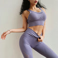 Sports Suits Seamless Yoga Set Women Fitness