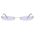 Clear Lens Small Narrow Sunglasses