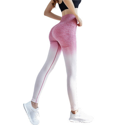 Sports Gym Yoga Pants Compression Tights